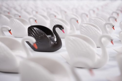 Black Swan. Risk Management Template for Event Planners. Howerton+Wooten Events.
